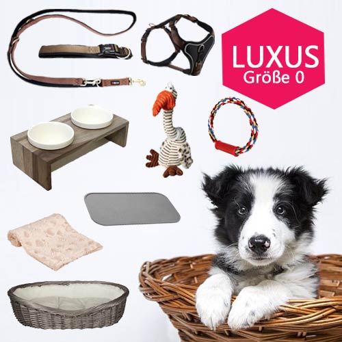 Welpen Starter Set Luxusgr Online Kaufen Bei Hund Unterwegs De